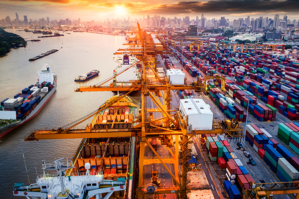 Disruption and Innovation in Supply Chain: Reviewing the Present and Preparing for the Future