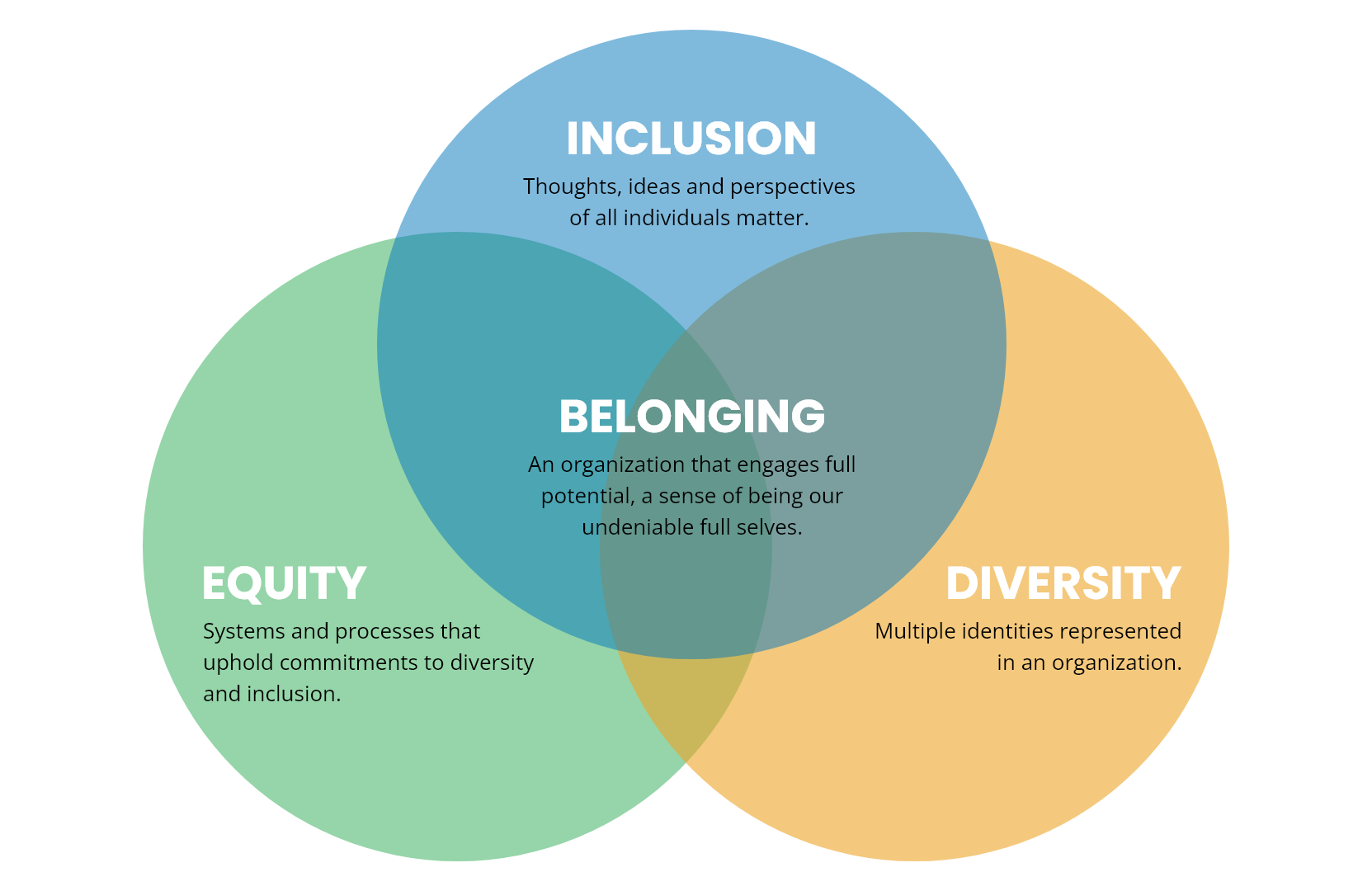 Our People - Our Diversity, Inclusion and Belonging Journey