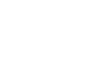 Blog icon
