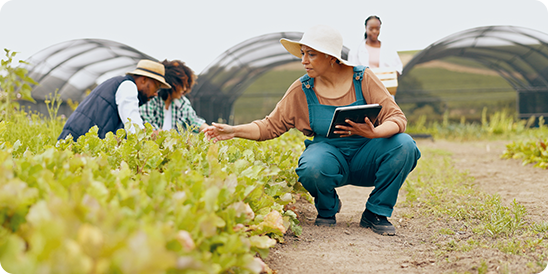 responsible food production